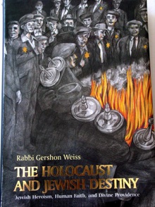 Book Cover "the Holocaust and Jewish Destiny"